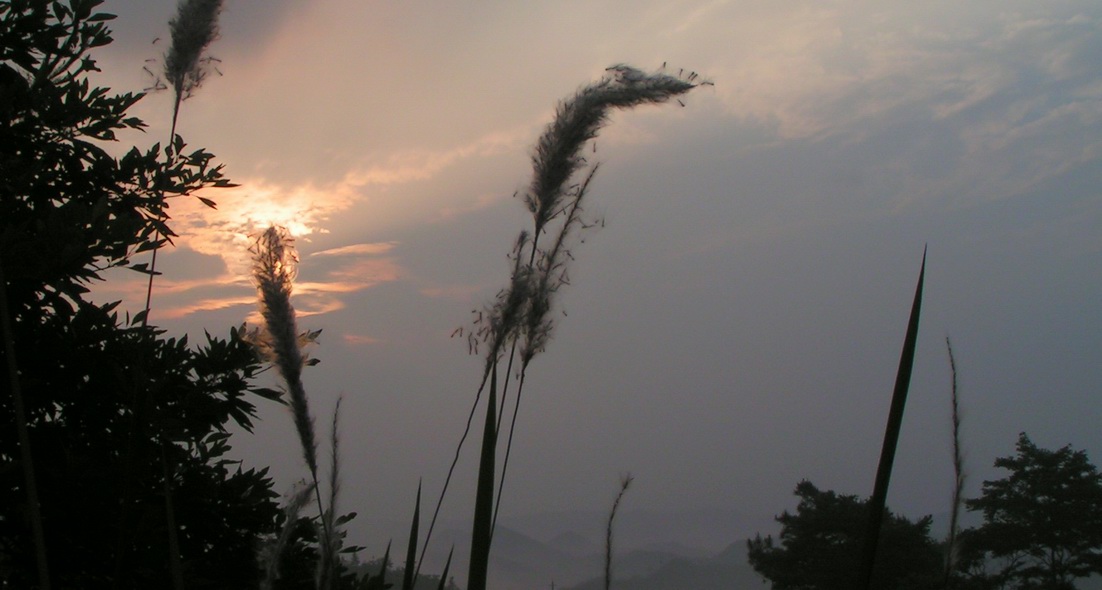 让各位久等了 陆续发苍山的图片