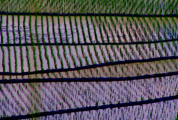 让各位久等了 陆续发苍山的图片