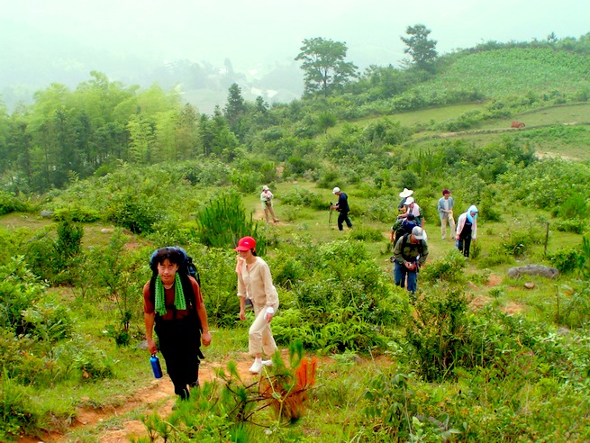 让各位久等了 陆续发苍山的图片