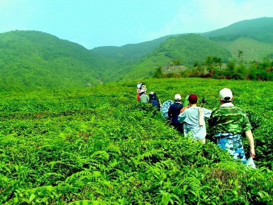 让各位久等了 陆续发苍山的图片