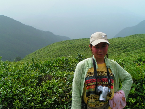 让各位久等了 陆续发苍山的图片