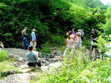 让各位久等了 陆续发苍山的图片