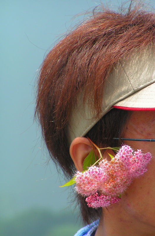 让各位久等了 陆续发苍山的图片