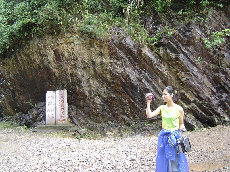[分享]淡竹