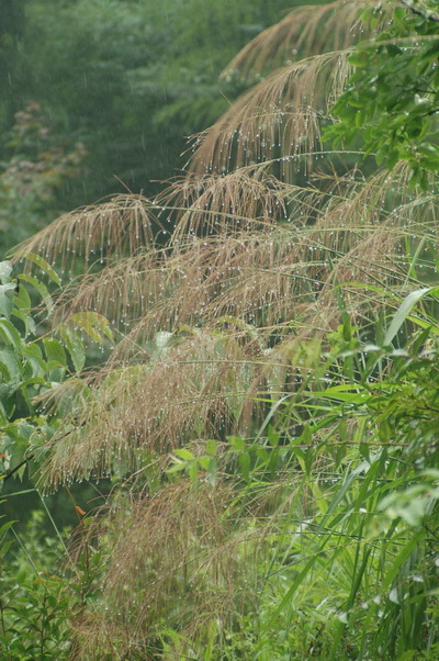 6.26铜壶滴漏考察