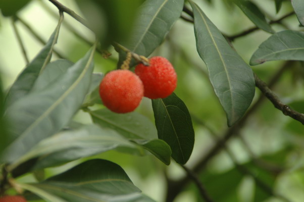 6.26铜壶滴漏考察