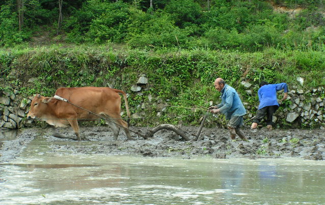 [原创]万年寺之行我拍到的点点点点...............