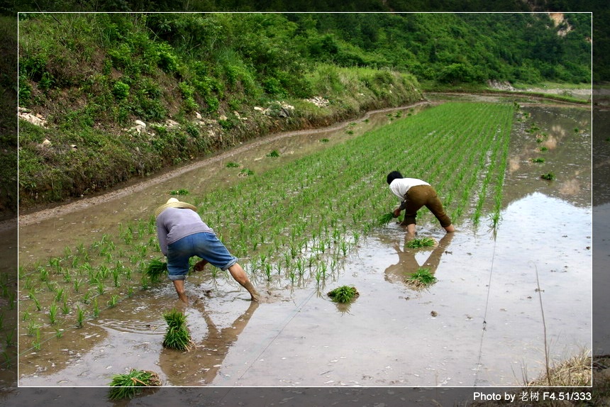 6月5-6日万年寺万马渡休闲游照片