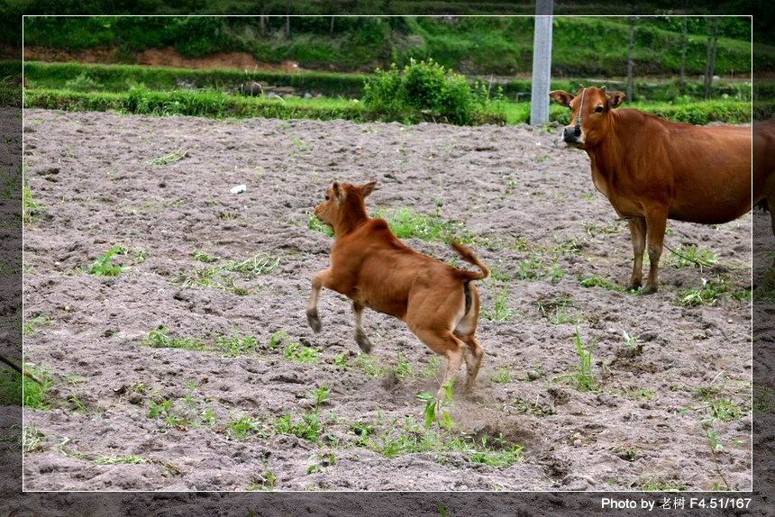 6月5-6日万年寺万马渡休闲游照片