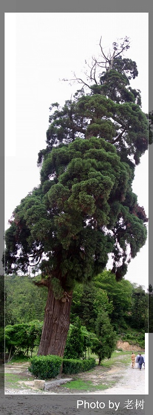 6月5-6日万年寺万马渡休闲游照片