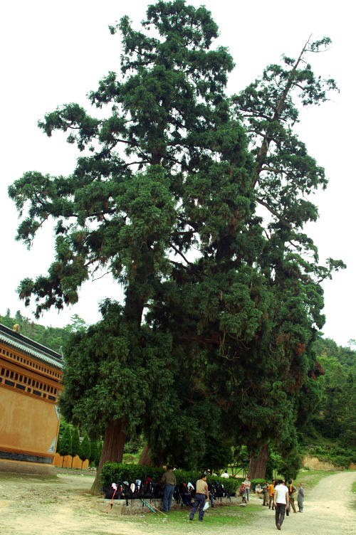 阳光季节--桐坑溪-万年寺-万马渡游记