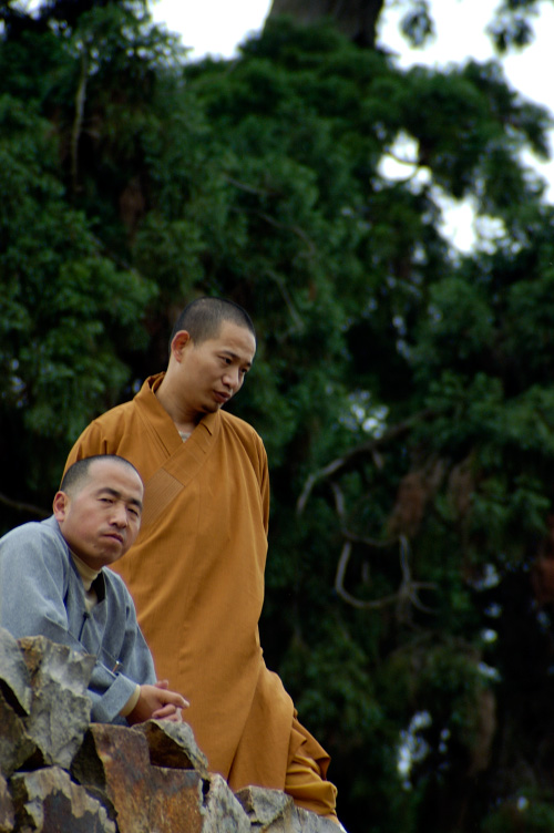 阳光季节--桐坑溪-万年寺-万马渡游记