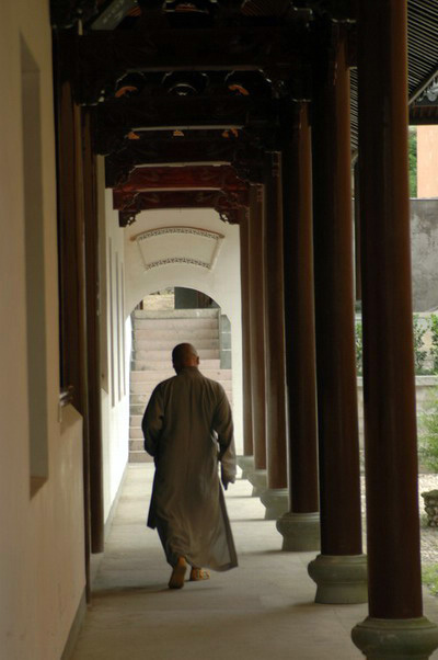 阳光季节--桐坑溪-万年寺-万马渡游记