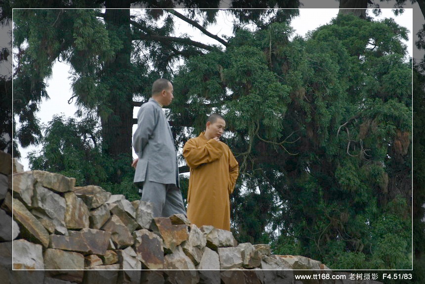 6月5-6日万年寺万马渡休闲游照片