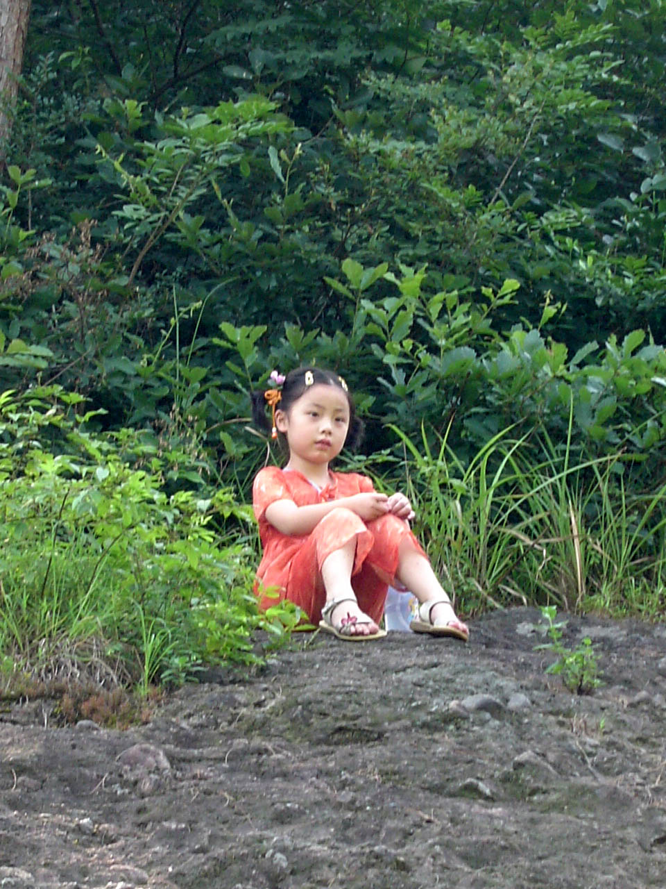 HRdCaVLJ.jpg