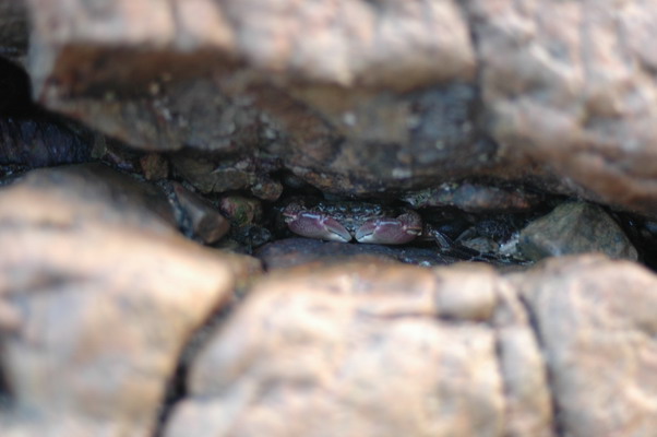 温岭水桶岙沙滩休闲游PP