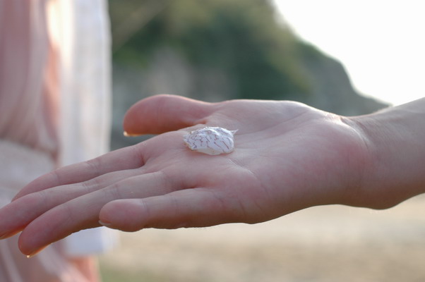 温岭水桶岙沙滩休闲游PP
