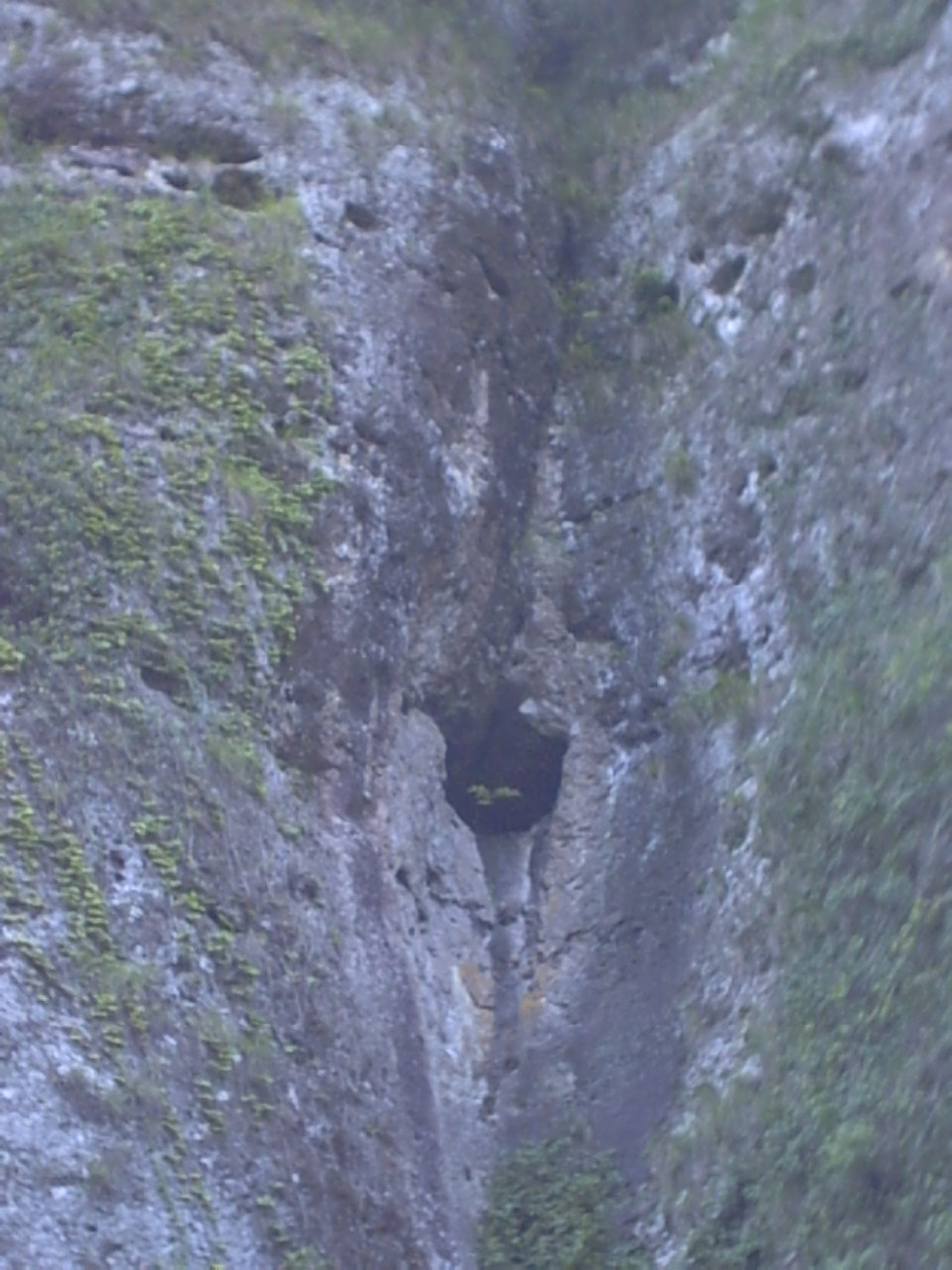 [原创]进来看看你会发现什么。。。。