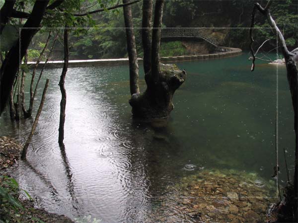 文成铜铃山国家森林公园