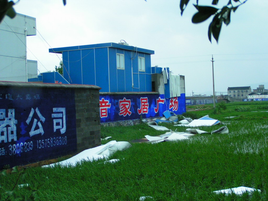 "云娜"过后.遍地遭殃.请看图片.