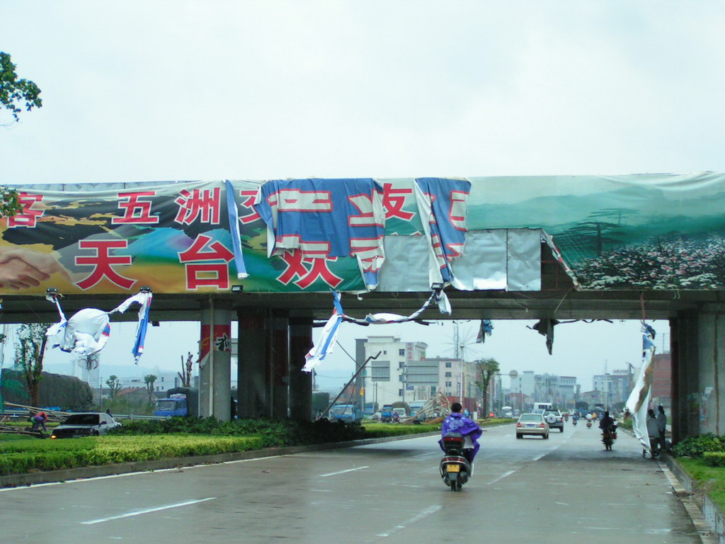 "云娜"过后.遍地遭殃.请看图片.
