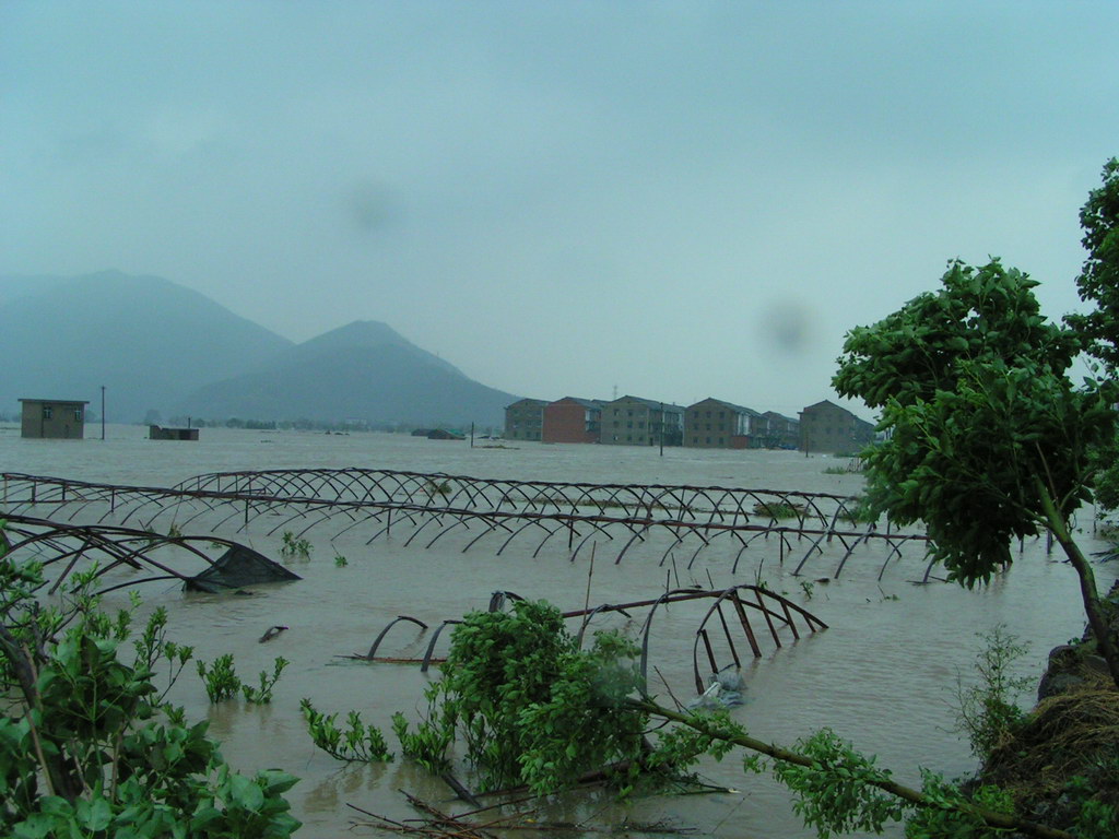 "云娜"过后.遍地遭殃.请看图片.