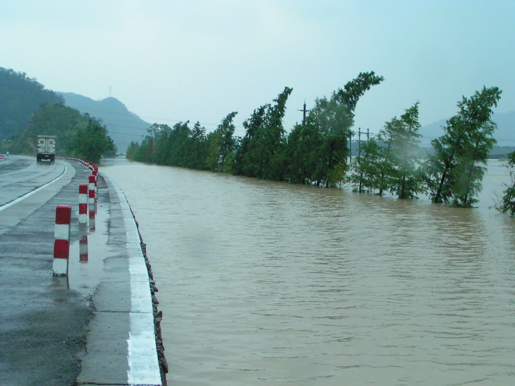 "云娜"过后.遍地遭殃.请看图片.