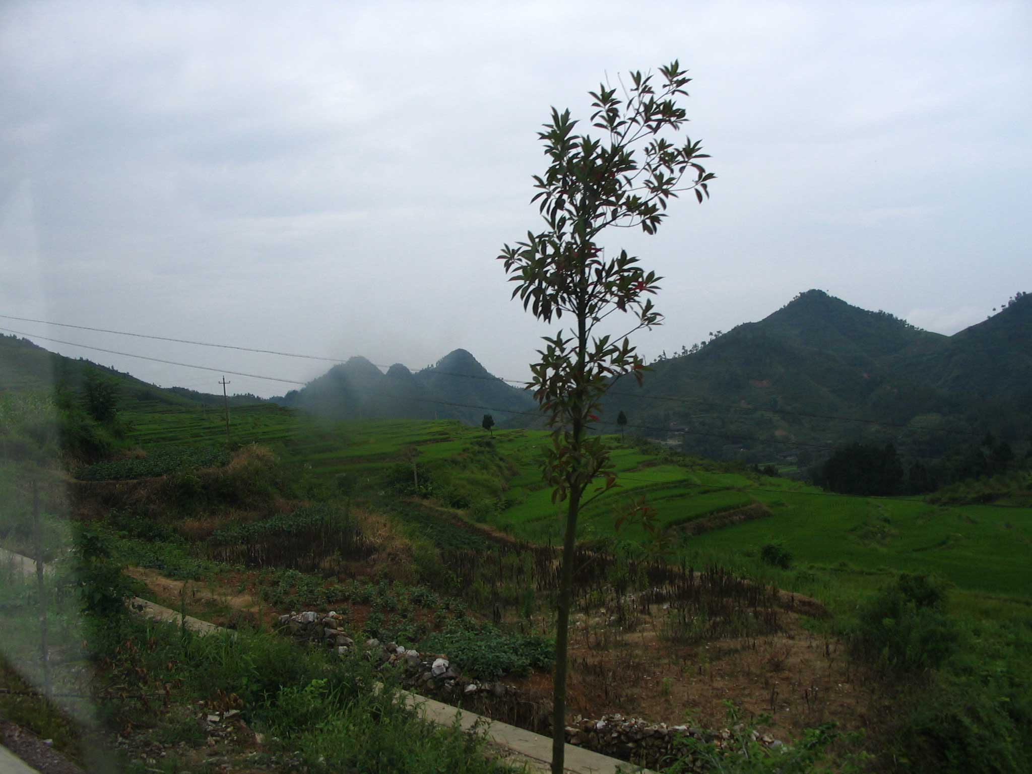 行驶的车中拍的，请大家指点