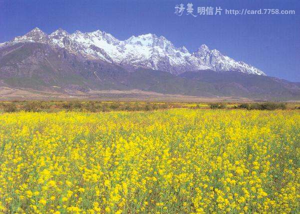 丽江篇（上）