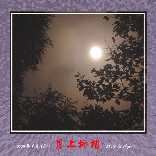 相约华顶（我朋友拍的）