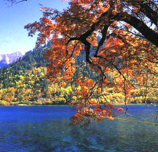 关于如何上传头像，签名档的图片