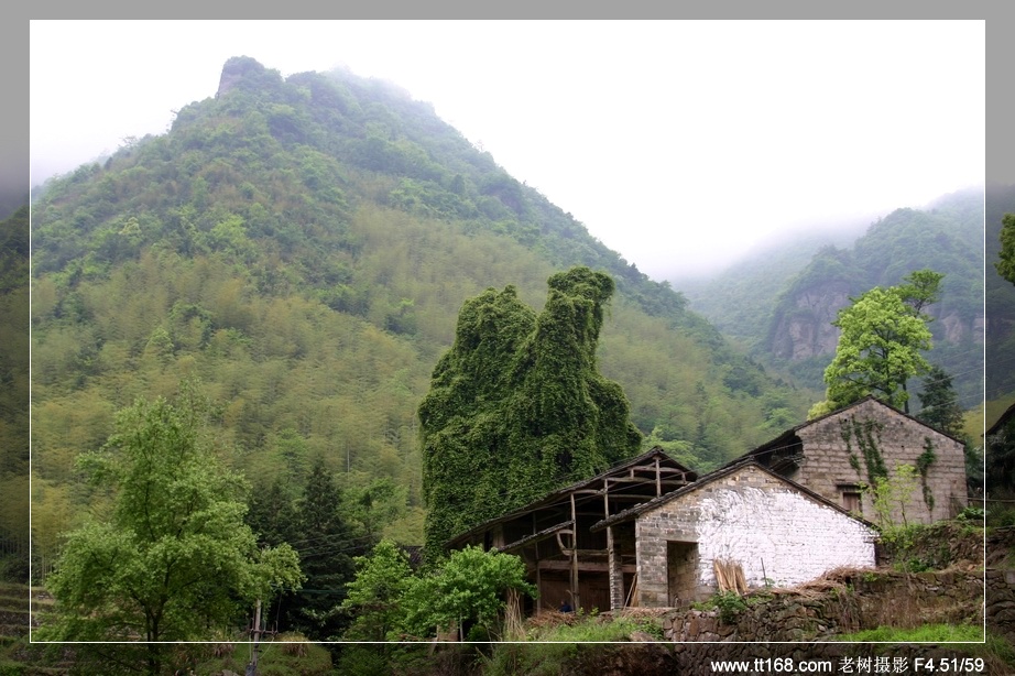 天台山风光（搜集）