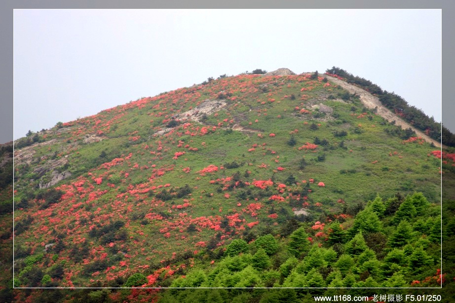 天台山风光（搜集）