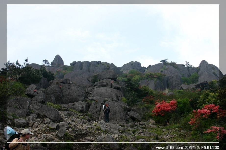 天台山风光（搜集）