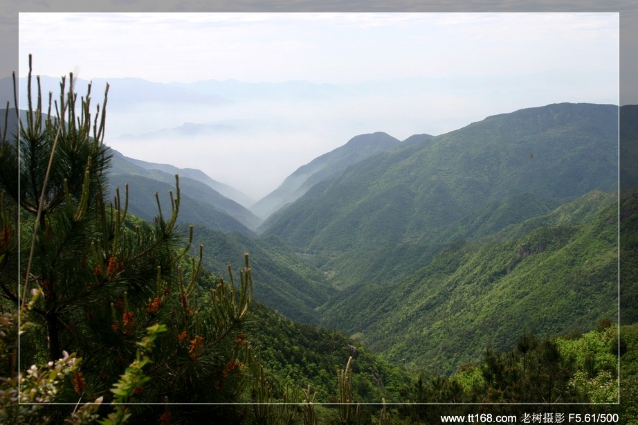 天台山风光（搜集）