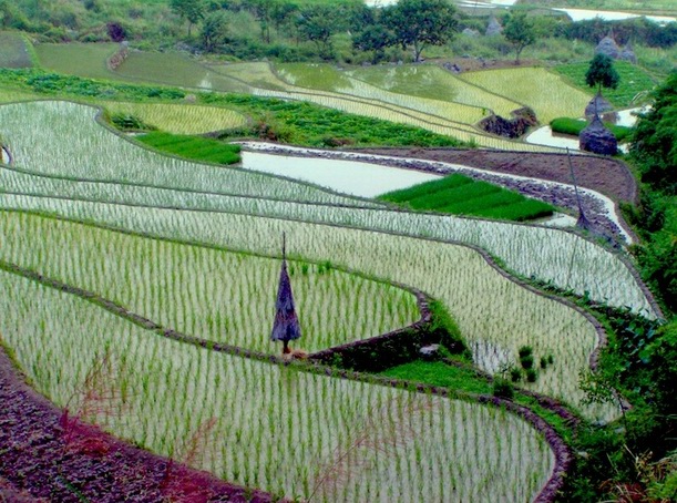 天台山风光（搜集）