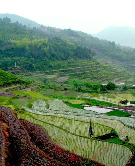 天台山风光（搜集）