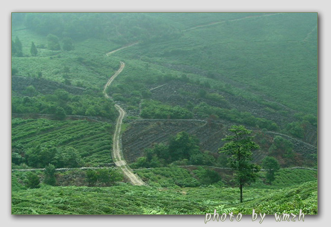 天台山风光（搜集）