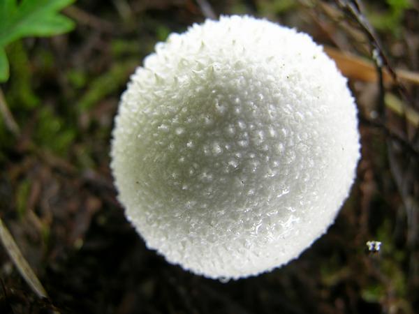 龙潭探幽（向天台山户外问好）