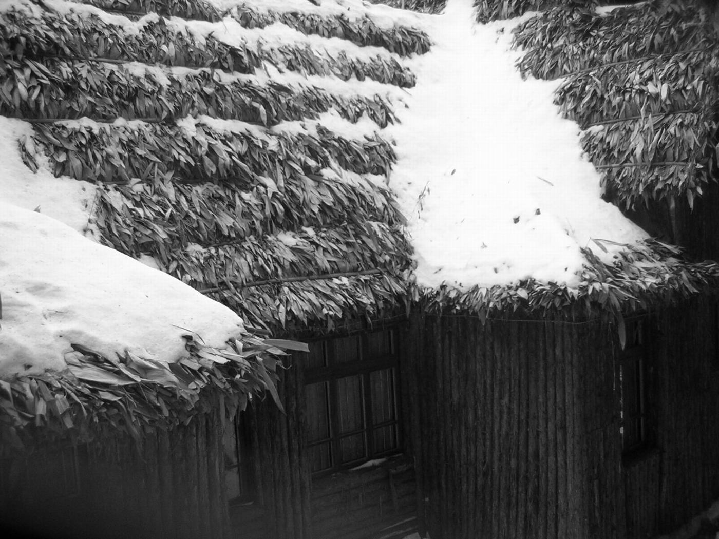 华顶的雪还没有融化!2005.1.8