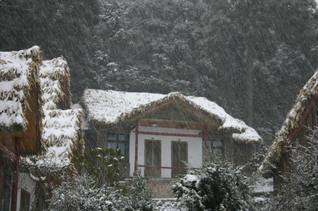 2005年的第一场雪 1.11日华顶雪世界