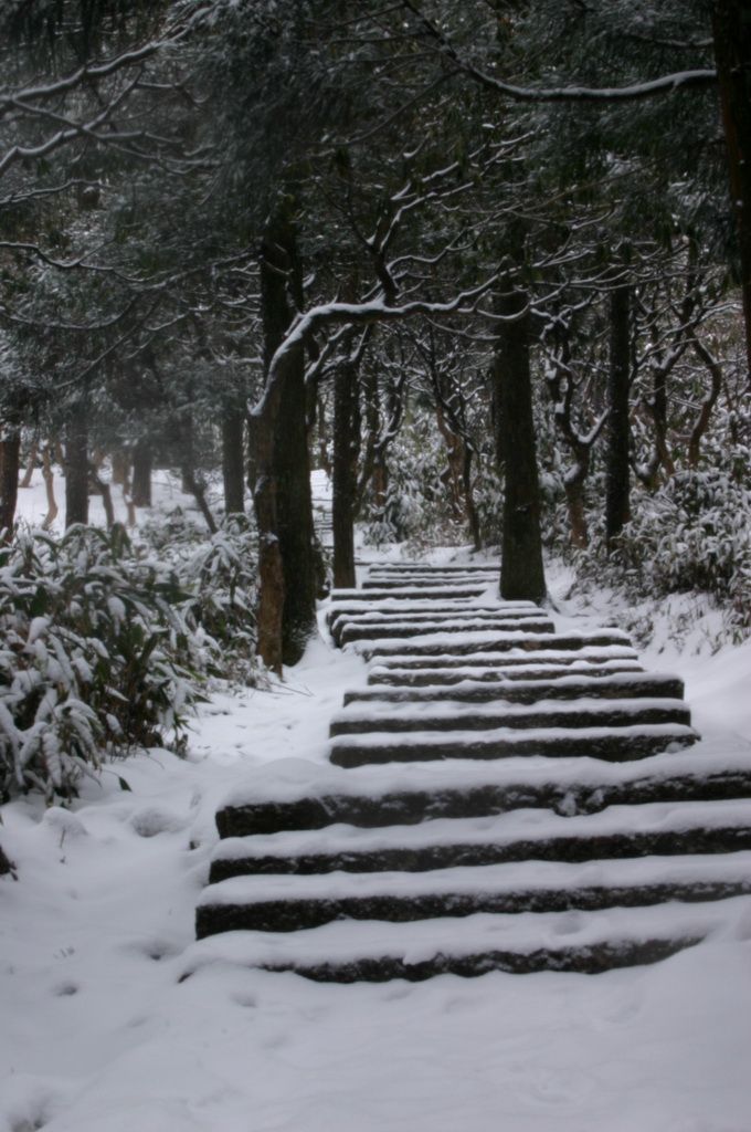 2005年的第一场雪 1.11日华顶雪世界