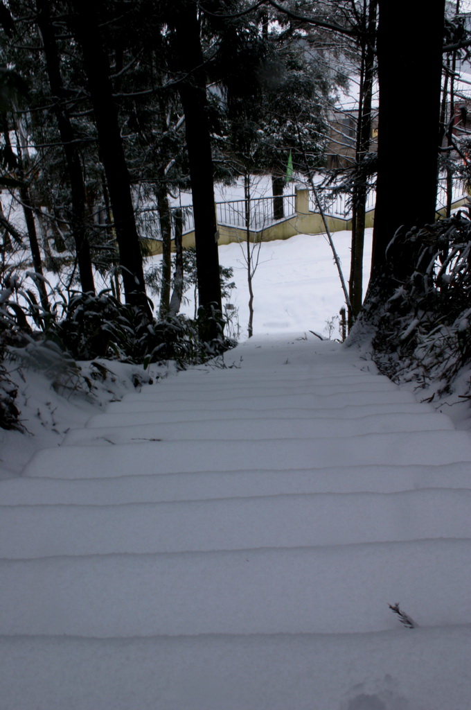 2005年的第一场雪 1.11日华顶雪世界