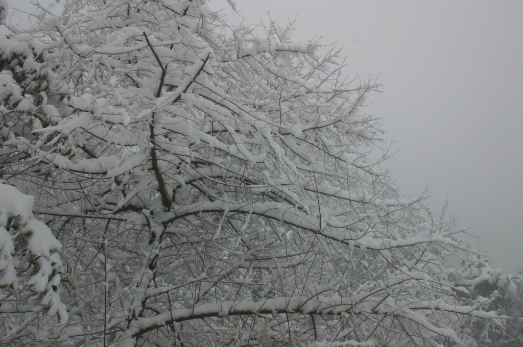 2005.11.13第二场雪