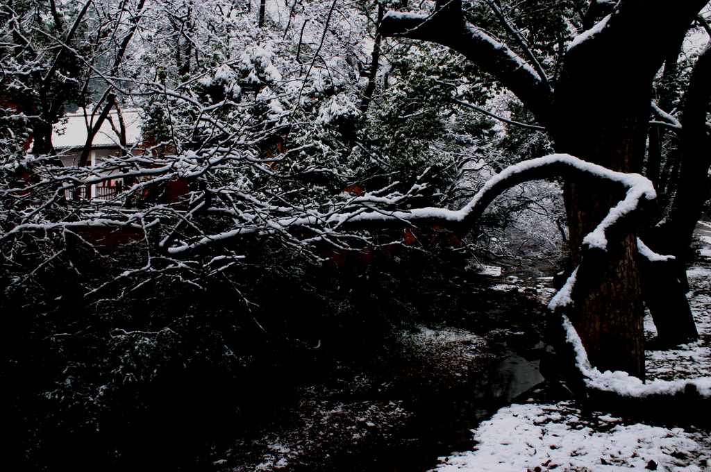 2005.11.13第二场雪
