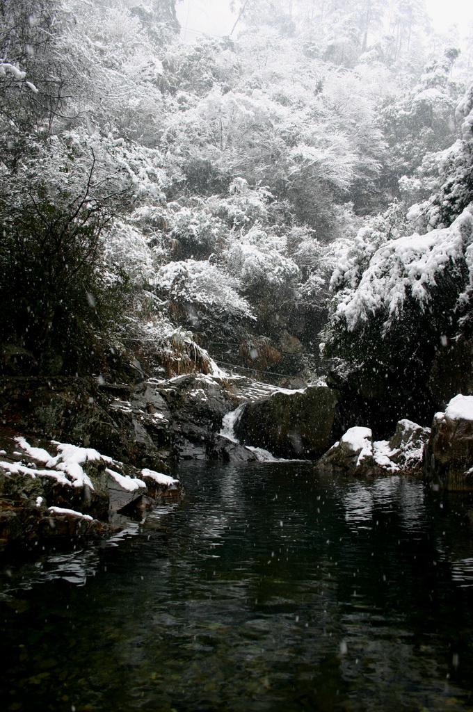 2005.11.13第二场雪