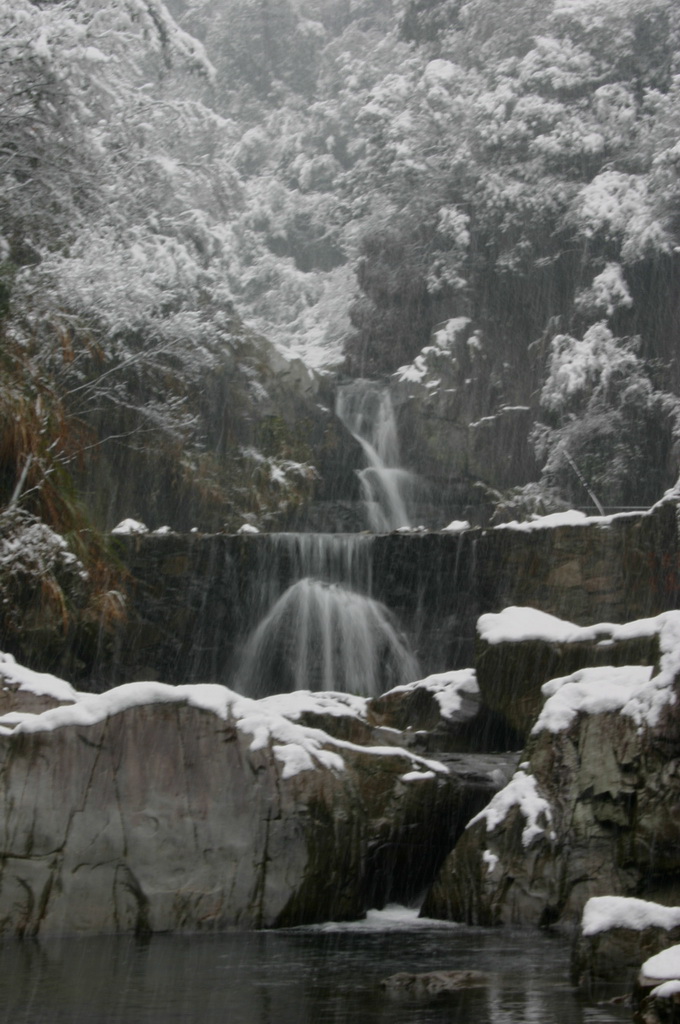 2005.11.13第二场雪