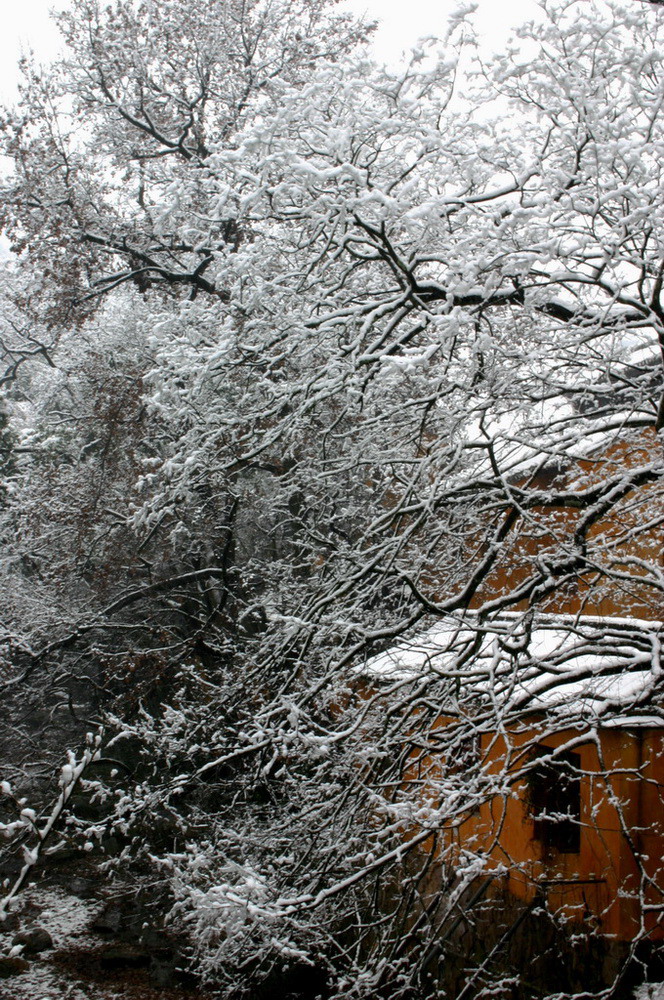 2005.11.13第二场雪