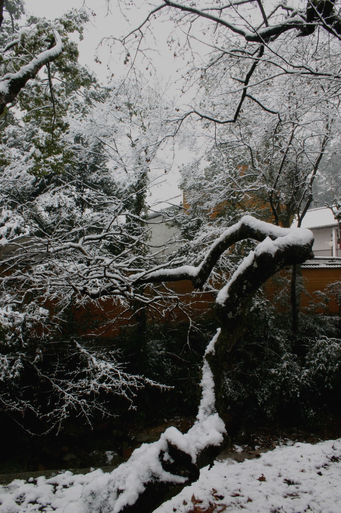 2005.11.13第二场雪