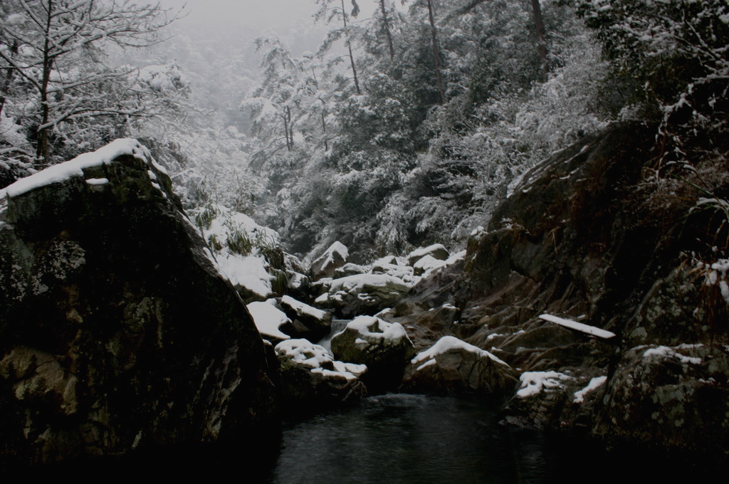 2005.11.13第二场雪